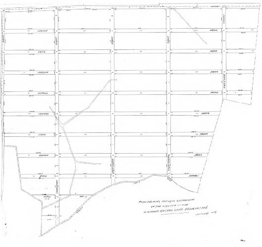Plan, Plan showing natural elevations on the streets of the Elmwood Mutual Land Association, January 1889