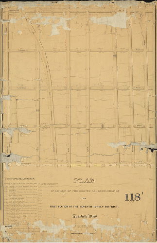Plan, Plan of the revision of the survey and regulation of the First Section of the Seventh Survey District, Twentieth Ward, Philadelphia. 