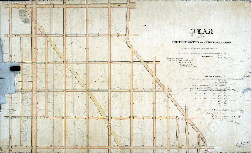 Plan (alternate image), Plan of the Third Section of the survey and regulation of the Twenty-first Ward of the City of Philadelphia [Ordinance Aug. 15, 1855; approved by Board of Surveyors Sept. 21, 1857; confirmed by Court June 11, 1860]