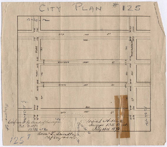Plan, [No title. Probably plan of Alder Street and Warnock Street. Survey returned July 15, 1872; confirmed Feb. 3, 1873]