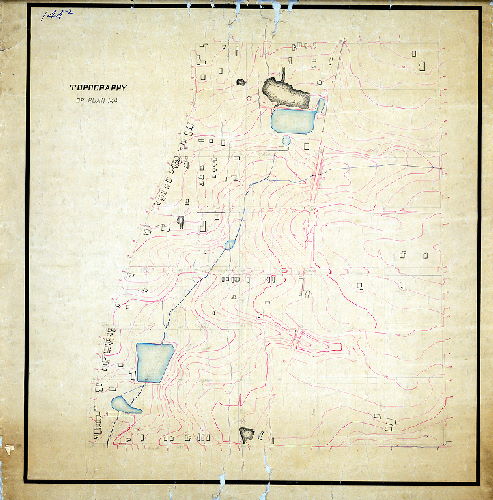Plan, Topography of Plan 144 [Part of Chestnut Hill]