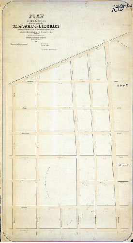 Plan (alternate image), Plan of the 9th Section of the survey of the late Township of Blockley made agreeably to the Act of the General Assembly of the Commonwealth of Pennsylvania, approved Apr. 3rd 1851 and May 13, 1857, by Saml. L. Smedley [Survey returned Dec. 18, 1862; confirmation date not noted]