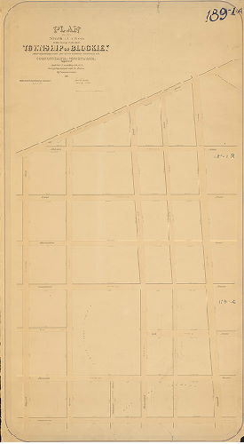 Plan, Plan of the 9th Section of the survey of the late Township of Blockley made agreeably to the Act of the General Assembly of the Commonwealth of Pennsylvania, approved Apr. 3rd 1851 and May 13, 1857, by Saml. L. Smedley [Survey returned Dec. 18, 1862; confirmation date not noted]