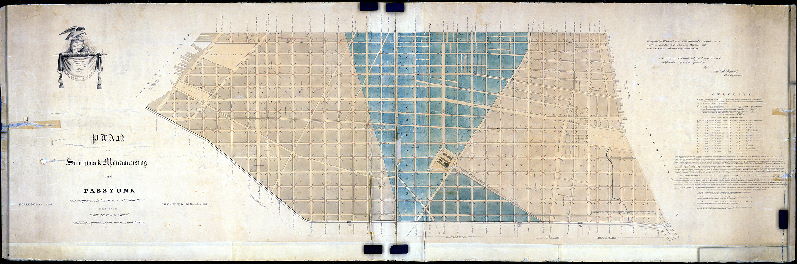 Plan, Plan of Southwark, Moyamensing and Passyunk extending from the Delaware to the Schuylkill River and from South Street to the Canal, exhibiting the grades and watercourses in each district