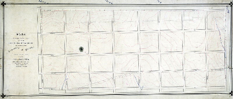 Plan, Plan showing topography of the Eighth Section of the survey and regulation of the late Township of Bristol, Twenty-second Ward, City of Philadelphia. Made under the direction of the Department of Surveys and in accordance with resolution of Councils. [No resolution or confirmation dates noted]