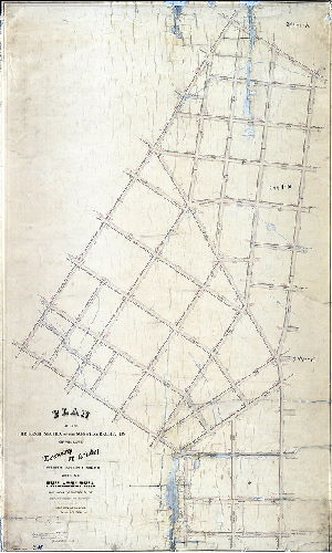 Plan (alternate image), Plan of the Thirteenth Section of the survey and regulation of the late Township of Bristol, Twenty-second Ward, City of Philadelphia [Resolution March 16, 1870; survey returned Feb. 18, 1871; approved by Board of Surveyors April [?], 1871; confirmed by Court May 15, 1871]