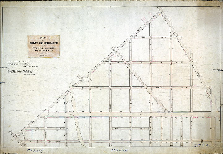 Plan (alternate image), Plan of the survey and regulation of the Twelfth Section, Twenty-eighth Ward [Resolution July 11, 1871; confirmed April 21, 1873 and Sept. 18, 1876]
