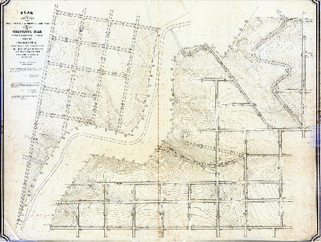 Plan (alternate image), Plan of the Sixth Section of the survey and regulation of Chestnut Hill, Twenty-second Ward, City of Philadelphia [Resolution Nov. 29, 1873; Confirmed July 1, 1889 and May 7, 1900]