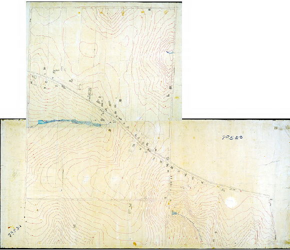 Plan, [No title. Topography and buildings along Ridge Ave. from Ship Lane (Port Royal Ave.) to City Ave. Composite image of 295-02_MTD and 295-03_MTD, which are contiguous]