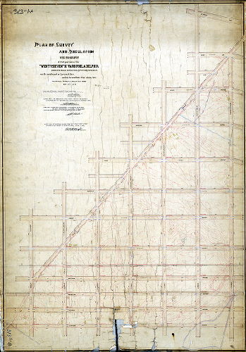 Plan, Plan of survey and regulation with topography of that portion of the Twenty-seventh Ward Philadelphia bounded on the northeast by Seventy-fourth St., on the southeast by Laycock Ave. and on the Southwest by Island Ave. [Ordinance March 23, 1889; survey returned Sept. 16, 1889; confirmed 1898 to 1917]