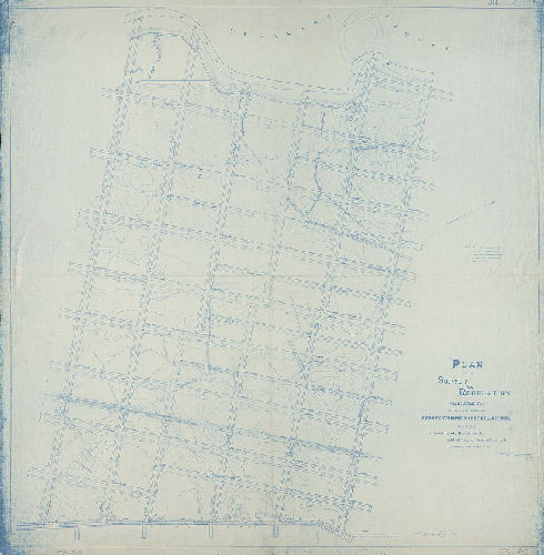 Plan, Plan of the survey and regulation with topography of that portion of the Twenty-seventh Ward Philadelphia bounded by Tinicum Road, Darby Creek, Eighty-Fifth and Ninetieth Streets. Ordinance of March 23d, 1888. [Survey returned Dec. 2, 1889]