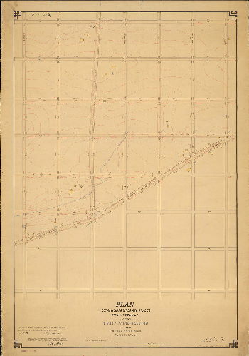 Plan, Plan establishing lines and grades with topography on the Forty-third Section of the Twenty-third Ward Phila. [Ordinance Sept. 21, 1887; confirmed May 18, 1891 and April 7, 1902]