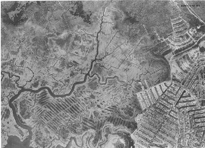 Aerial Photo A51 B16, Aerial Photographs of the Delaware Valley