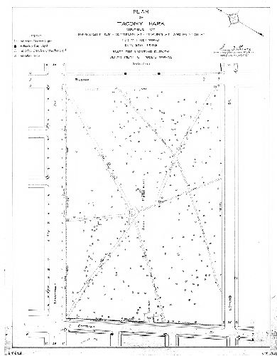 Plan, Plan of Tacony Park bounded by Torresdale Ave., Cottman St., Edmund St., and Bleigh St., Forty-first Ward Philadelphia. Made for Lighting Survey, Department of Public Works. 