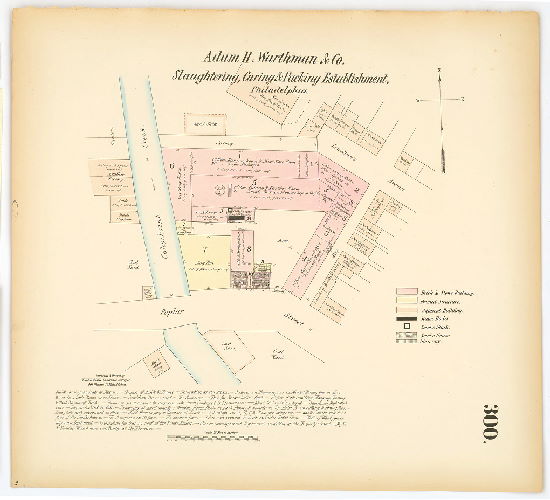 Adam H. Warthman & Co. Slaughtering, Curing & Packing Establishment, Hexamer General Surveys, Volume 4