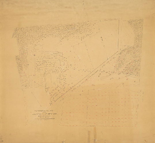 Plan, Topographical map of the Country Club Grounds at Bala, Penna. 