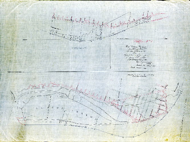 Plan (alternate image), Report for creation of monuments for reference to turning points in the Port Warden Line of 1884. Tracing No. 1. 