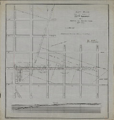 Plan, Jury plan for the opening of 29th Street from Morris to Jackson Street, 36th Ward. D-17, No. 2