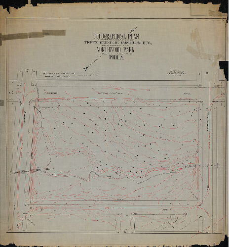 Plan, Topographical plan showing location of trees, one-foot contours, etc., of a portion of Northwood Park, Twenty-third Ward, Phila. J. H. Webster, Jr., Sur. & Reg. 10th Dist., June 12, 1901. 
