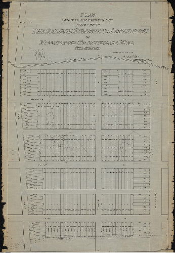 Plan, Plan of second allotment of lots belonging to The Baldwin Homestead Association of Wissinoming, Twenty-third Ward, Philadelphia.