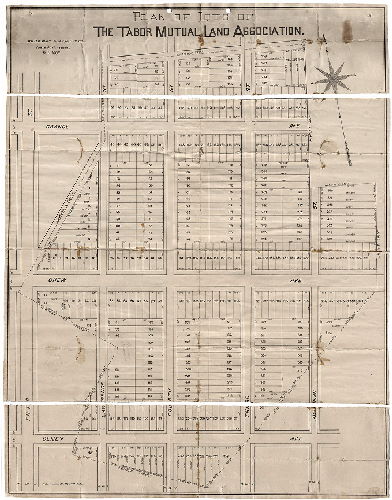 Plan, Plan of lots of the Tabor Mutual Land Association. Walter Jones, Surv. & Reg'r. 9th Dist., Scale 80 ft. = 1 inch. Oct. 1887. F. Bourquin, Lith., 31 S. 6th St., Phila.