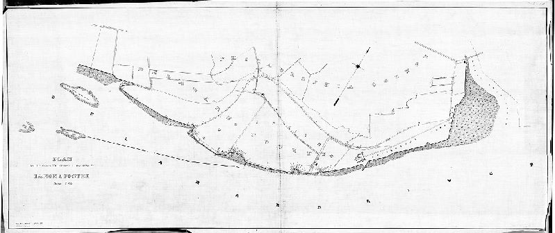 Plan, Plan [of property in Southwest Philadelphia] traced from blueprint provided by Damon & Foster [Tracing copy made in 1929 by P. W. M. Yeager]
