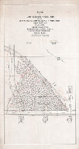 Plan, Plan of land adjoining Morris Park between Woodbine, Sherwood Ave., 66th St. and Morris Park, Thirty-fourth Ward, Philadelphia. Made for the Board of View in conformity with a resolution of the Commissioners of Fairmount park dated July 12, 1916. Lines and grades of streets confirmed 1-4-1909. Boundaries of Morris Park confirmed 12-29-1915.