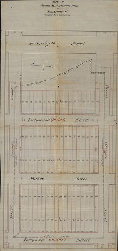 Plan, Copy of James M. Morrison's plan of "Ellangowan" compiled from the records.