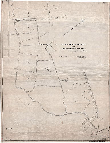 Plan, Plan of meadow property in the Twenty-seventh Ward, Phila, made for Henry G. Morris