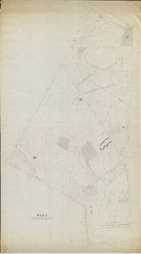 Plan, Plan of topography [for City Plan 244]